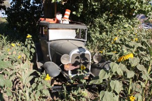 Lombardi Farm Model A